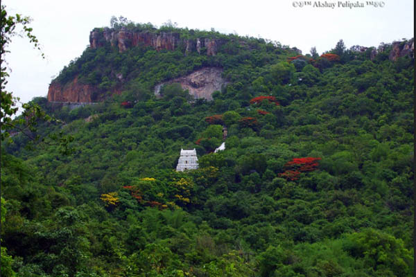 Tirupati Local Temples